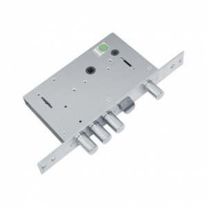 Гардиан 30.12